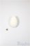 画像1: COCORIANG/OF:パーツ/BJD　球体関節人形 A-25-07-23-393-NY-ZA (1)