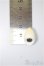 画像2: COCORIANG/OF:パーツ/BJD　球体関節人形 A-25-07-23-393-NY-ZA (2)