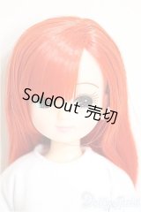 リカちゃんキャッスル/リカちゃん:本体/BJD　球体関節人形 A-25-07-23-341-NY-ZA