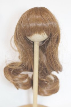 画像1: 8-9inch/ウィッグ/インチ　BJD　MJD　ドール用 A-25-08-06-066-NY-ZA