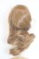 画像2: 8-9inch/ウィッグ/インチ　BJD　MJD　ドール用 A-25-08-06-066-NY-ZA (2)
