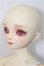 画像3: SDM/スタンダードモデル/BJD　球体関節人形 A-25-08-06-149-TO-ZA