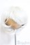 画像1: 8-9inch/ウィッグ/インチ　BJD　MJD　ドール用 A-25-07-23-317-TO-ZA (1)