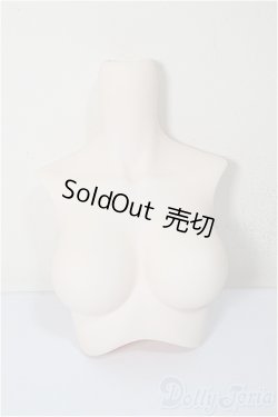 画像1: DD2.0/上半身パーツ/0 A-25-07-30-113-TO-ZA