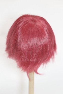 画像2: 8-9inch/ウィッグ/インチ　BJD　MJD　ドール用 A-25-08-06-072-NY-ZA