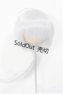 画像1: 8-9inch/ウィッグ　みさんとるーぷ 様製/インチ　BJD　MJD　ドール用 A-25-07-30-124-NY-ZA