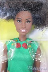 Barbie GHR60/BJD　球体関節人形 A-25-07-30-101-NY-ZA