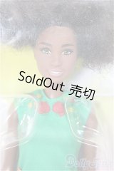Barbie GHR60/BJD　球体関節人形 A-25-07-30-101-NY-ZA