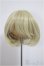 画像1: 8-9inch/ウィッグ/インチ　BJD　MJD　ドール用 A-25-07-30-190-NY-ZA (1)