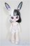 画像2: Bonnie The Journey Of Streets/ A-25-07-30-158-TO-ZA (2)