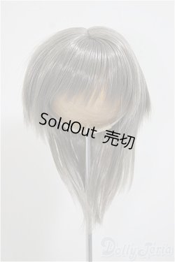 画像1: 8-9inch/ウィッグ/インチ　BJD　MJD　ドール用 A-25-07-30-180-TO-ZA