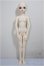 画像5: little monica/Elena/BJD　球体関節人形 A-25-08-06-112-TO-ZA