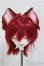 画像1: DDH-06/季節堂様カスタム・ウィッグ・狐耳・尻尾/BJD　球体関節人形 A-25-07-30-253-NY-ZA (1)