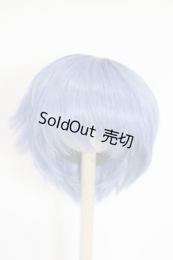 画像1: 8.5-9inch/ウィッグ/インチ　BJD　MJD　ドール用 A-25-08-06-065-NY-ZA