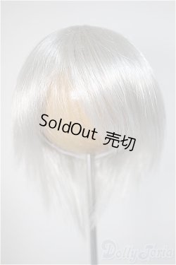 画像1: 8-9inch/ウィッグ/インチ　BJD　MJD　ドール用 A-25-10-22-372-TO-ZA