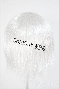 画像2: 8-9inch/ウィッグ/インチ　BJD　MJD　ドール用 A-25-10-22-372-TO-ZA