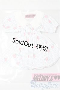SDM/OF:ワンピース　MELODY.C様製 U-25-11-12-064-TO-ZU
