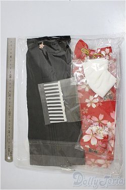 画像2: DD/OF 大正袴set(赤)(M+V Studio様製)/0 A-25-07-30-332-TO-ZA