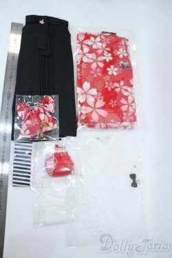 画像3: DD/OF 大正袴set(赤)(M+V Studio様製) Y-25-10-22-042-TO-ZY