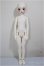 画像5: ChicaBi/Sally/BJD　球体関節人形 A-25-08-06-111-NY-ZA