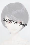 DDB/ドリームチョイス DC-H-16/BJD　球体関節人形 A-25-08-06-160-TO-ZA