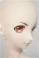 画像3: DDB/ドリームチョイス DC-H-16/BJD　球体関節人形 A-25-08-06-160-TO-ZA