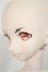 画像4: DDB/ドリームチョイス DC-H-16/BJD　球体関節人形 A-25-08-06-160-TO-ZA