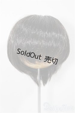 画像1: 8-9inch/ウィッグ/インチ　BJD　MJD　ドール用 A-25-08-06-223-TO-ZA