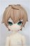 画像1: UFDOLL 1/6　MINI スケール　/鴛鴦茶/ A-25-08-06-194-NY-ZA (1)