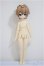 画像2: UFDOLL 1/6　MINI スケール　/鴛鴦茶/ A-25-08-06-194-NY-ZA (2)