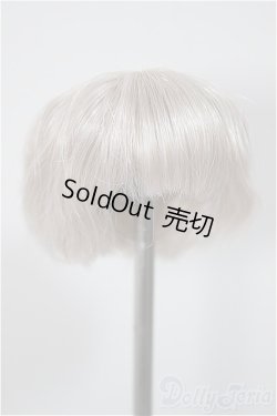 画像1: 4inch/ウィッグ/インチ　BJD　MJD　ドール用 A-25-08-06-241-NY-ZA