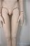 画像3: DDSB/ベースボディ/BJD　球体関節人形 A-25-08-06-224-NY-ZA (3)