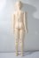 画像5: WITH DOLL/60ｃｍ級ドール A-25-08-20-1098-NY-ZU