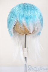 8-9inch/ウィッグ/インチ　BJD　MJD　ドール用 A-25-08-13-212-NY-ZA
