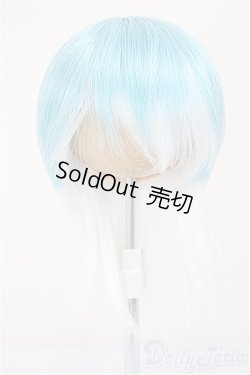 画像1: 8-9inch/ウィッグ/インチ　BJD　MJD　ドール用 A-25-08-13-212-NY-ZA