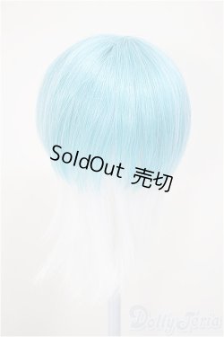 画像2: 8-9inch/ウィッグ/インチ　BJD　MJD　ドール用 A-25-08-13-212-NY-ZA