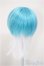 画像2: 8-9inch/ウィッグ/インチ　BJD　MJD　ドール用 A-25-08-13-212-NY-ZA (2)