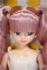 リカちゃんキャッスル/リカちゃん 2018年度版クリスマスモデル/BJD　球体関節人形 A-25-08-13-106-NY-ZA