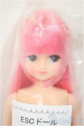 リカちゃんキャッスル/きらちゃん　ESCドール/BJD　球体関節人形 A-25-08-13-104-NY-ZA