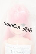 リカちゃんキャッスル/きらちゃん　ESCドール/BJD　球体関節人形 A-25-08-13-104-NY-ZA