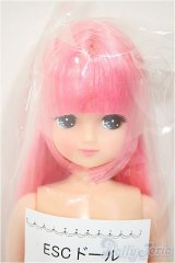 リカちゃんキャッスル/きらちゃん　ESCドール/BJD　球体関節人形 A-25-08-13-104-NY-ZA