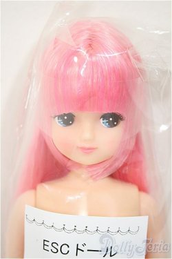 画像1: リカちゃんキャッスル/きらちゃん　ESCドール/BJD　球体関節人形 A-25-08-13-104-NY-ZA