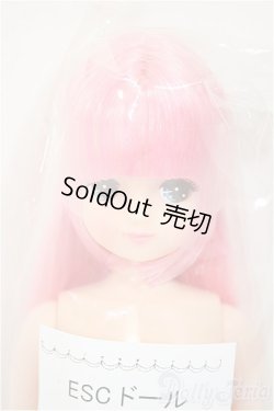画像1: リカちゃんキャッスル/きらちゃん　ESCドール/BJD　球体関節人形 A-25-08-13-104-NY-ZA