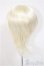 画像2: 9-10inch/ウィッグ/インチ　BJD　MJD　ドール用 A-25-08-13-122-NY-ZA (2)