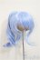 画像1: 9inch/ウィッグ(Nemurumori＆LUNA様製)/インチ　BJD　MJD　ドール用 A-25-08-13-174-NY-ZA (1)