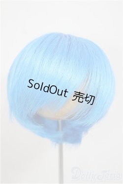 画像1: 8-9inch/ウィッグ/インチ　BJD　MJD　ドール用 A-25-08-13-166-NY-ZA