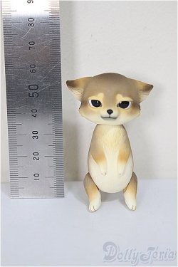 画像2: Heaven Monkey様製/ニホンオオカミ/ A-25-08-13-177-NY-ZA