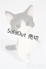 Heaven Monkey様製/ハチワレ/ A-25-08-13-176-NY-ZA