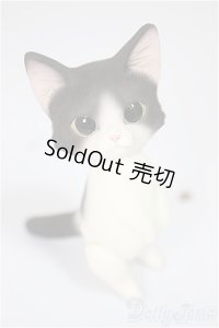 Heaven Monkey様製/ハチワレ/ A-25-08-13-176-NY-ZA