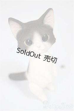 画像1: Heaven Monkey様製/ハチワレ/ A-25-08-13-176-NY-ZA